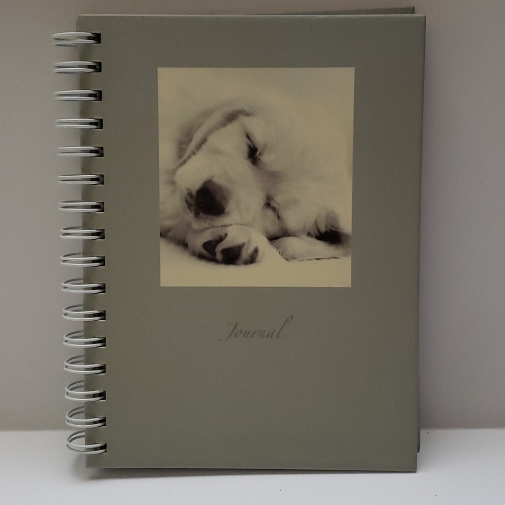 Journal